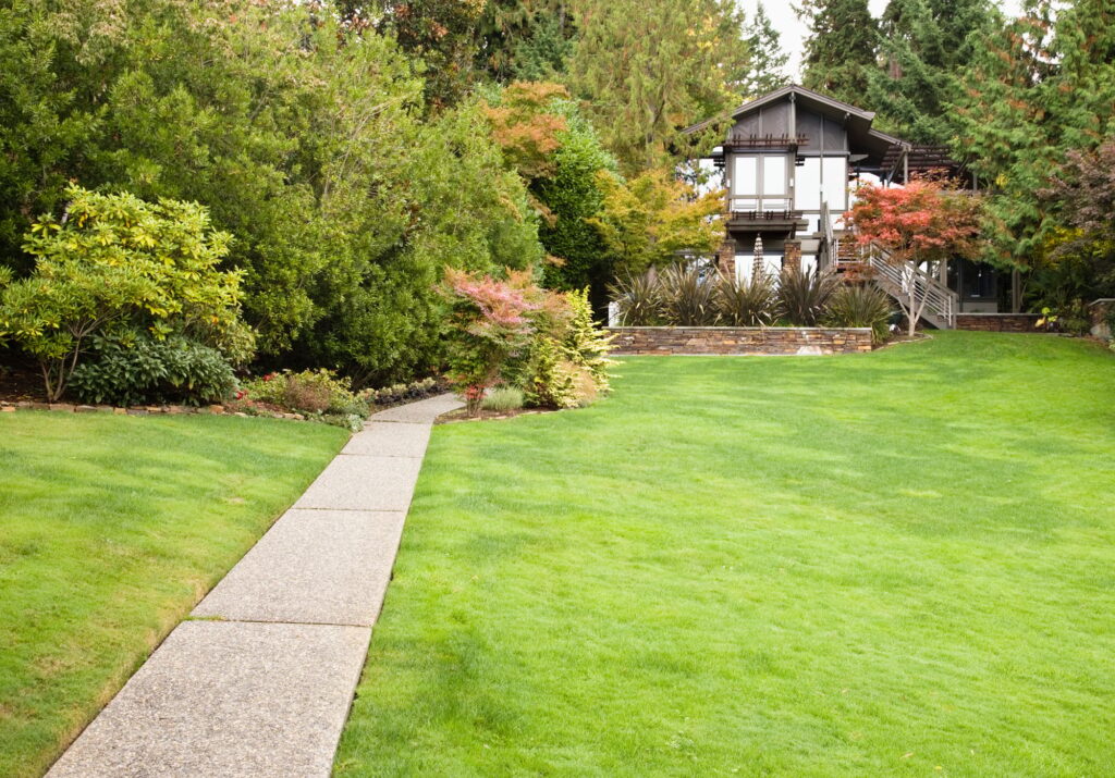 Home and Yard
